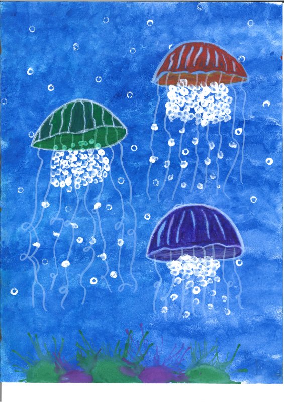 Unterwasserwelt