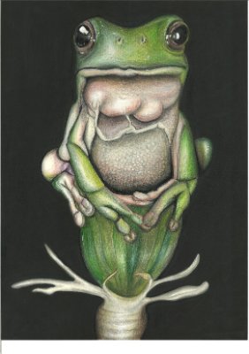 Du hässlicher Frosch