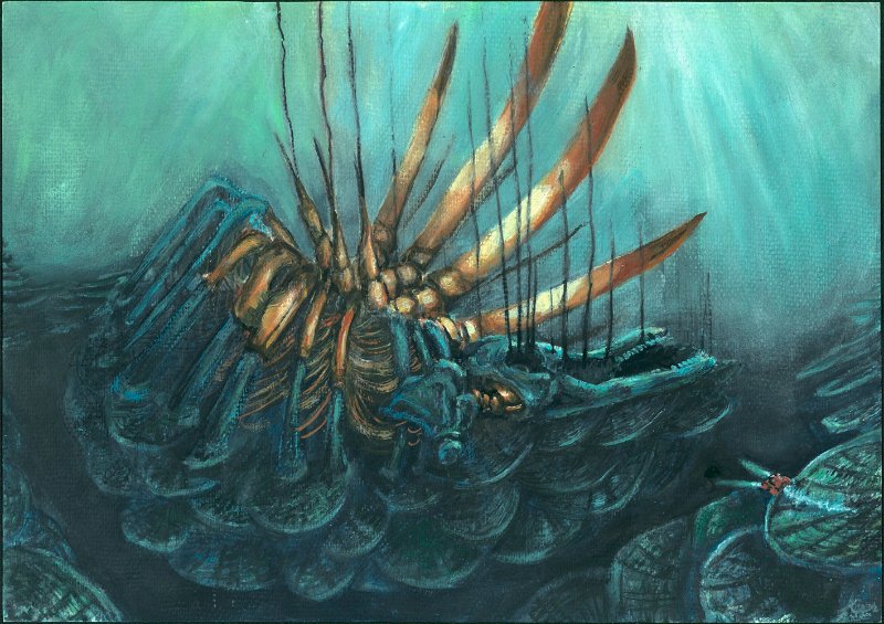 Whale fall by Parasite