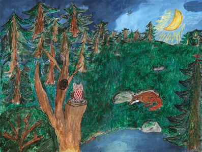 In der Nacht bei der Waldlichtung