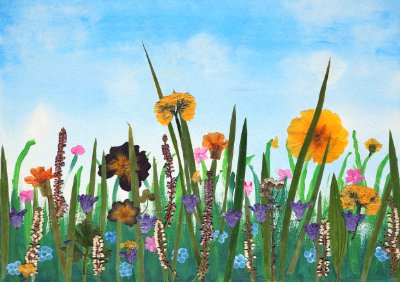 Blumenwiese