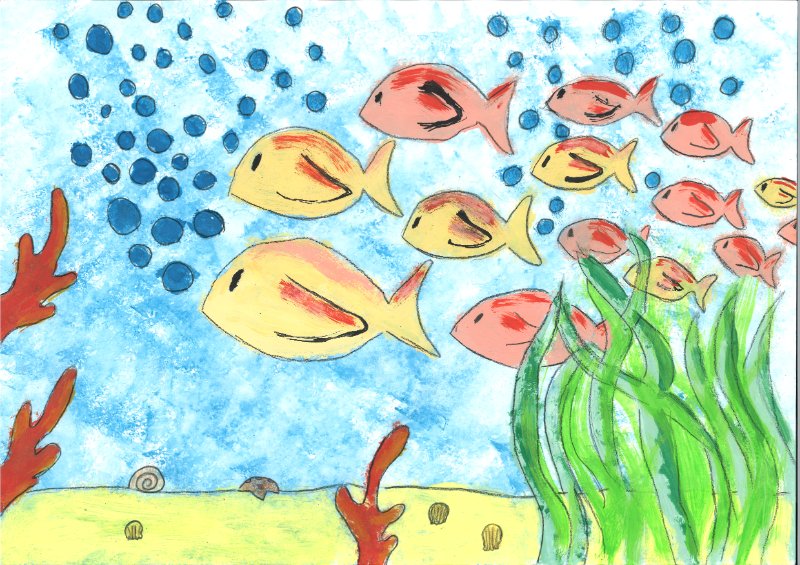 Das kunterbunte Leben in der Unterwasserwelt
