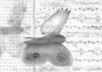 Der vogelhafte Schmetterling