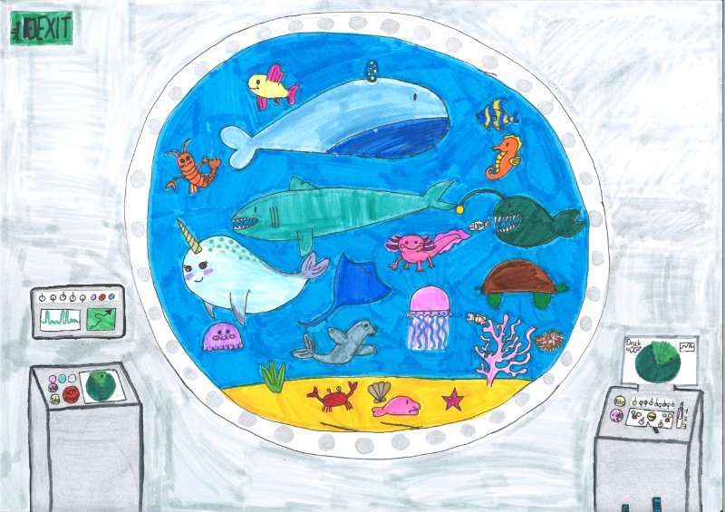 Die traumhafte Unterwasserwelt