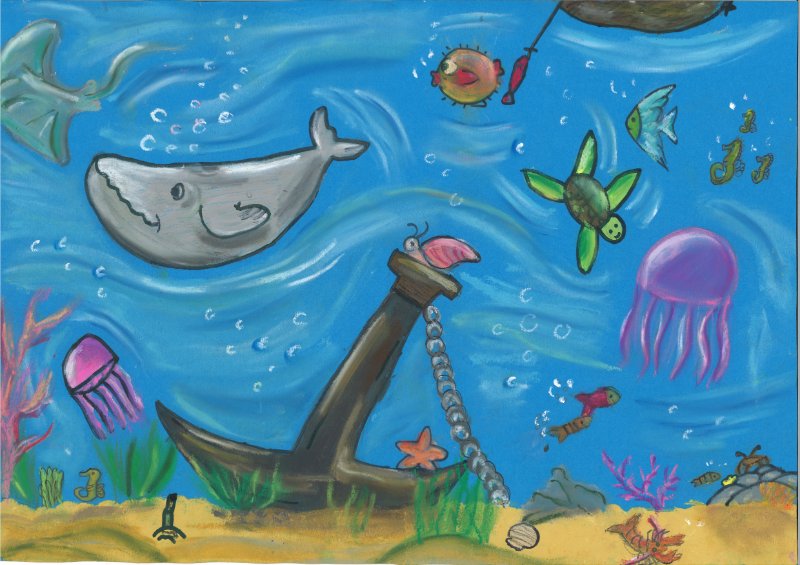 Die Vielfalt des Meeres