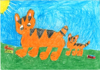 Tiger im Jungel