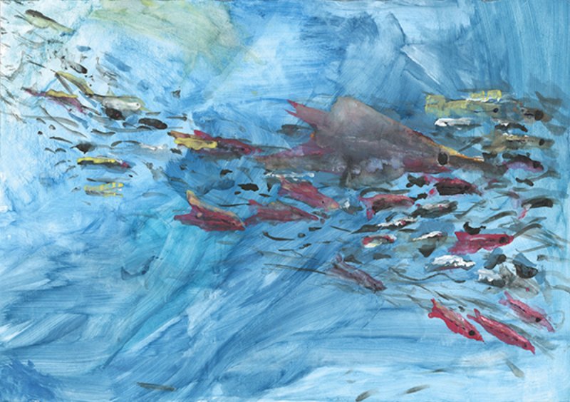 Wanderung der Fische