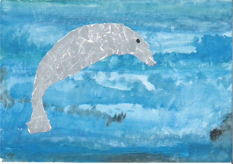 Ein Delfin im Meer