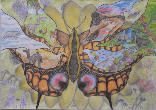 novum papilio totam vitam mundi denudatum