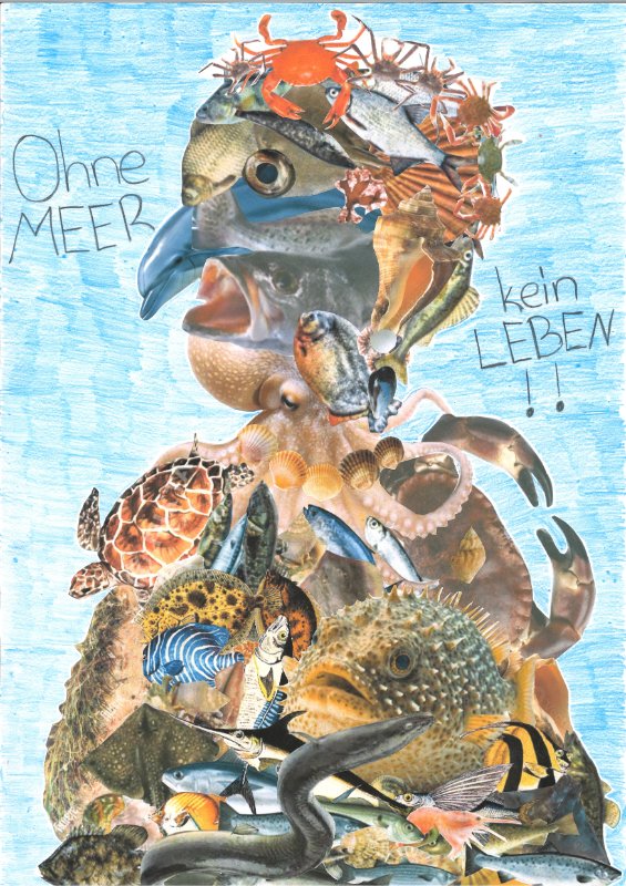Der Ozean muss leben
