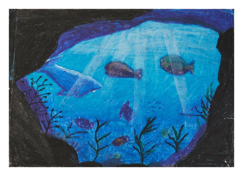 Unterwasserwelt