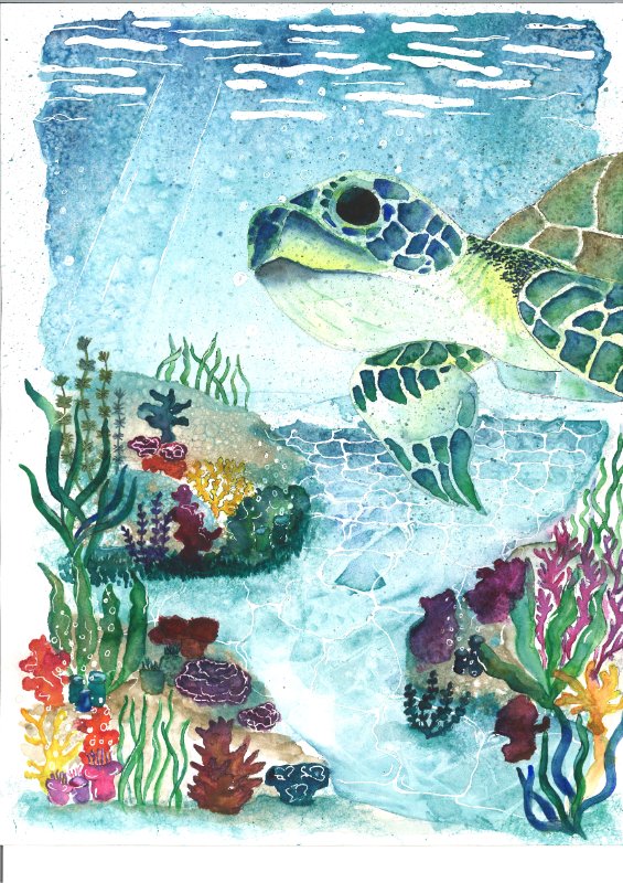 Aquatic Dreams