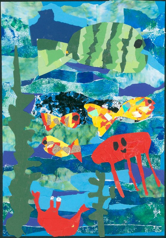 Das Meer der Zauberfische