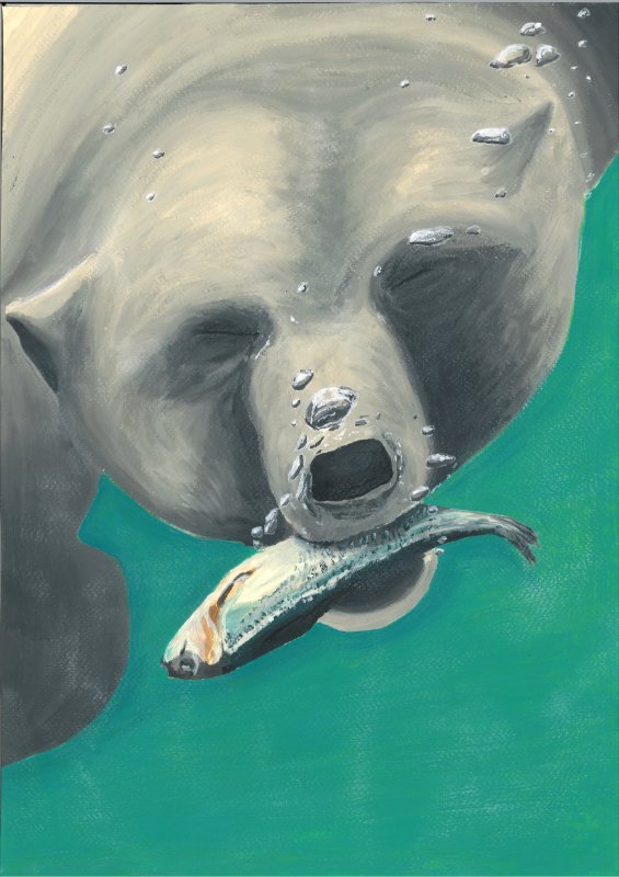 The catch