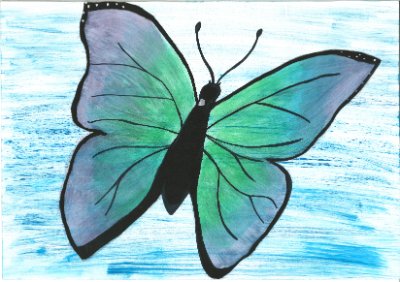 Paradiesschmetterling