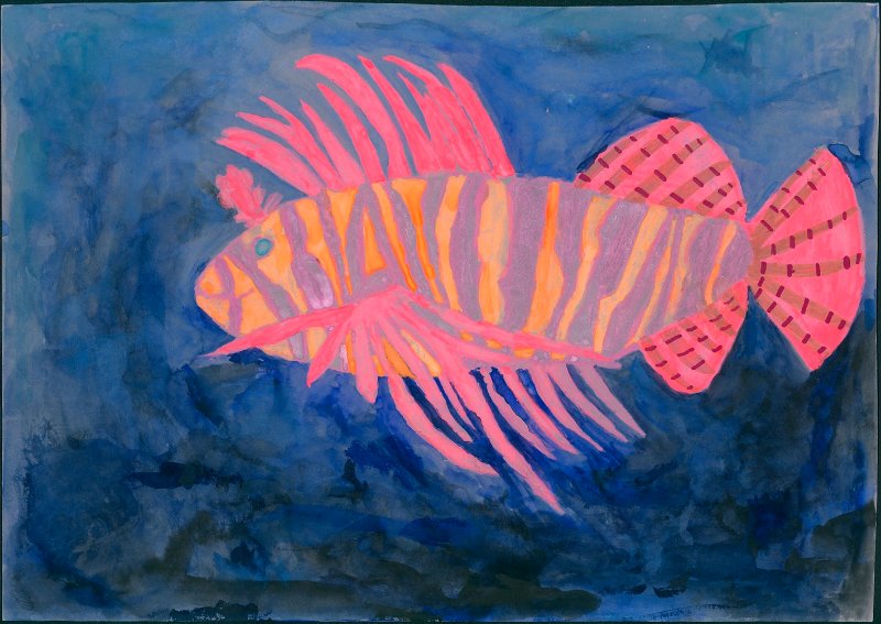 Rotfeuerfisch in Rosa