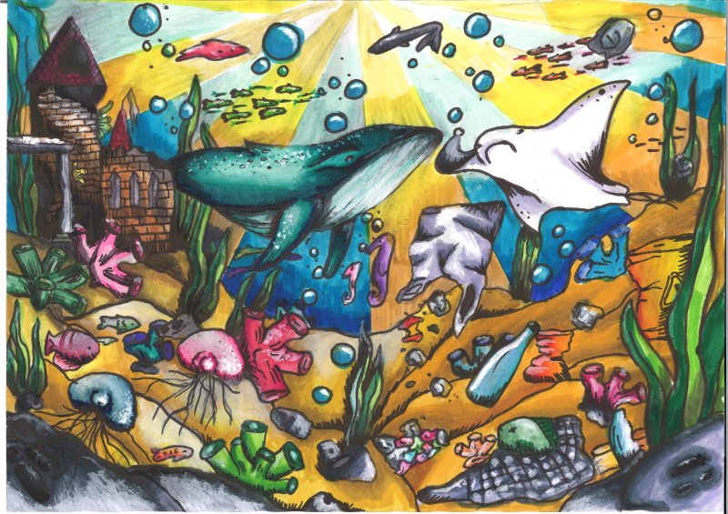 Die schillernde Unterwasserwelt und ihre Schattenseiten