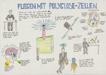 Fliegen mit Polyglose-Zellen
