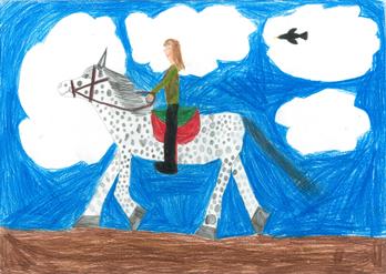 Winnetou das Pferd