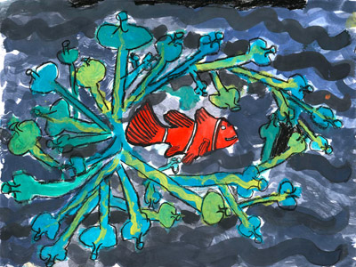 Der Clownfisch in seinem Zuhause